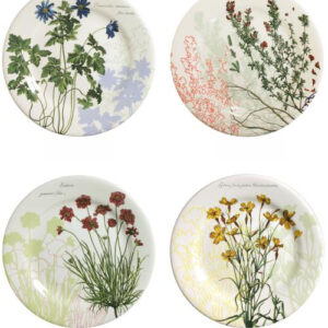 SET OF 6 DESSERT PLATES