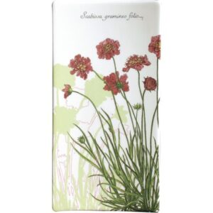 rectangular plate SMALL