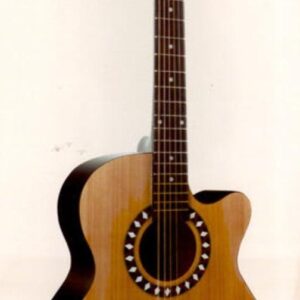 GUITAR &CASE. 40 INCH.FRANZ SANDNER