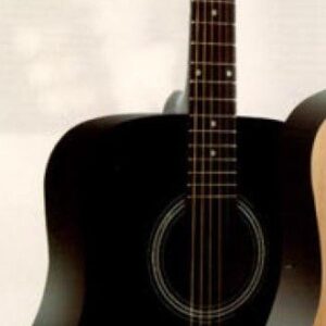GUITAR &CASE. 41 INCH.FRANZ SANDNER