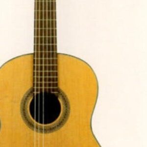 GUITAR , FRANZ SANDNER