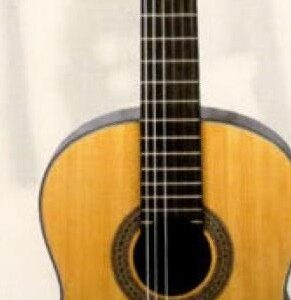 GUITAR , FRANZ SANDNER