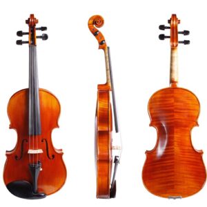 VIOLIN &CASE,FRANZ SANDNER